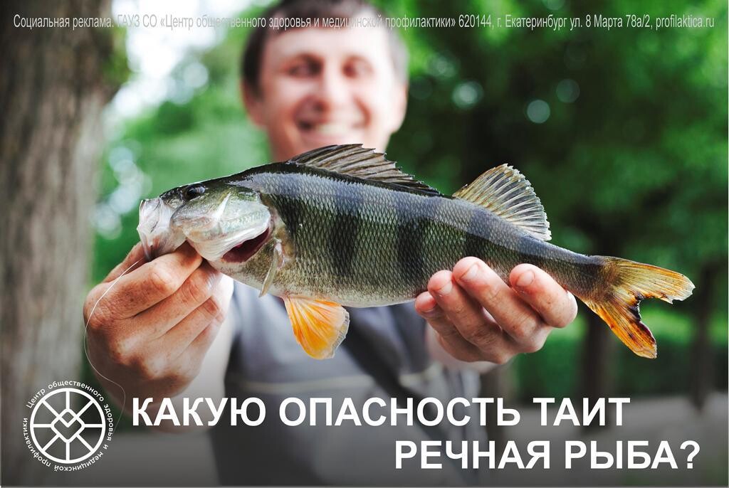 Какую опасность таит речная рыба?