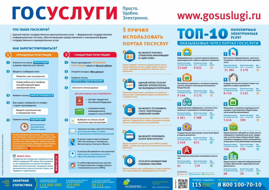 Gosuslugi-Infographics-Hornews(1).png